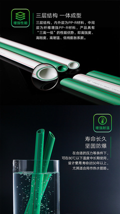 以自然為筆，鐫刻時代之美 偉星產品廣告設計海報的魅力解析